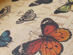 vlinders 092